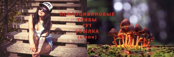 2c-b Покачи