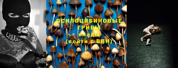 СК Покров