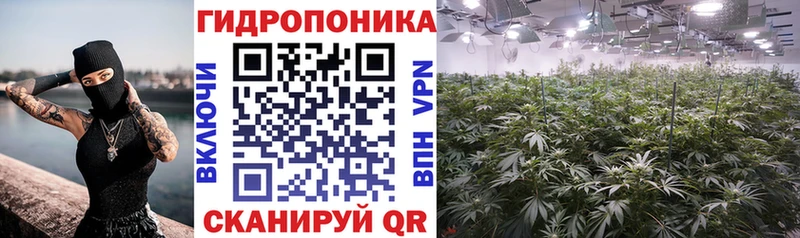 купить   мориарти телеграм  Бошки марихуана Amnesia  Холмск 